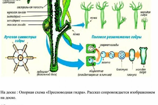 Кракен драг