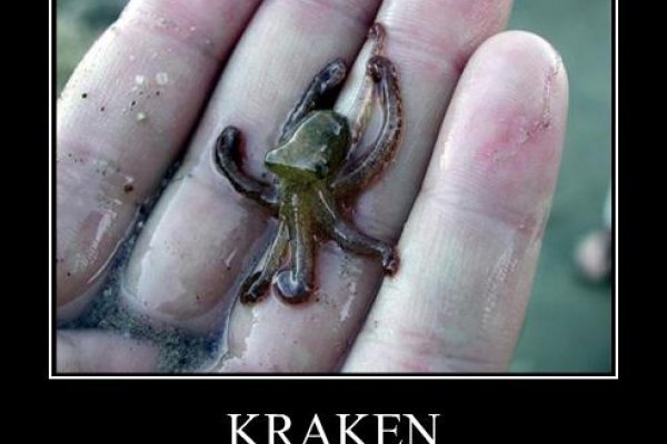 Зеркало kraken krakens16